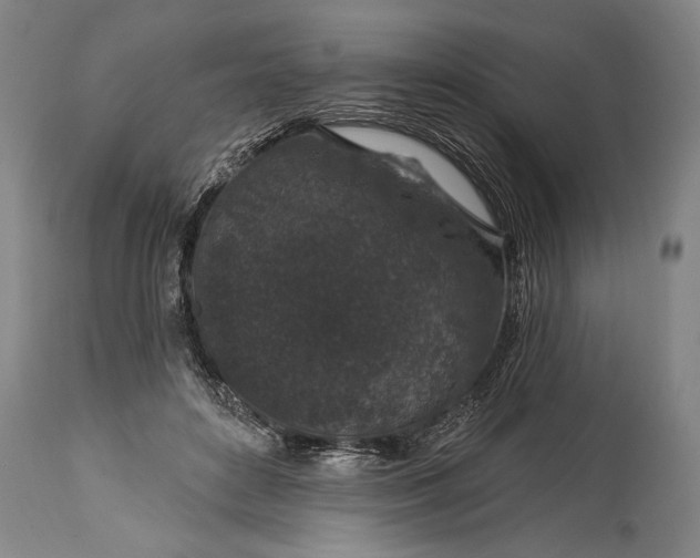 X0000115290504200911161637