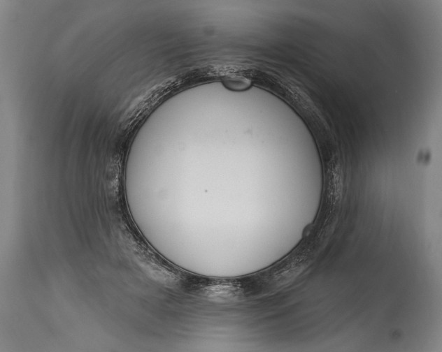 X0000115290505200911161637