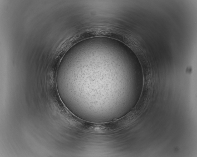 X0000115290506200911161637