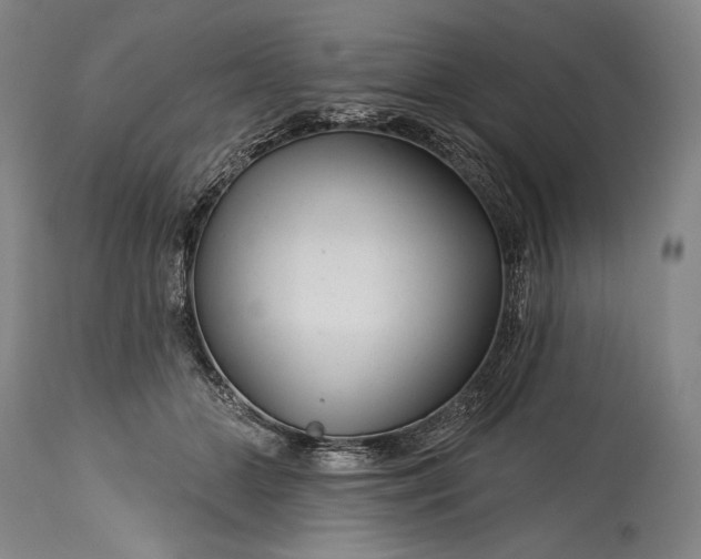 X0000115290510200911161637