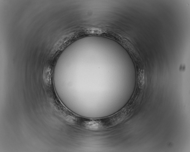 X0000115290511200911161637