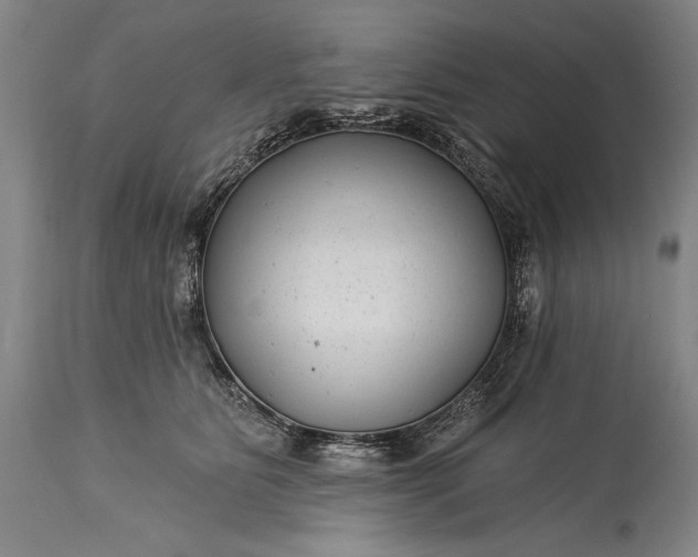X0000115290515200911161637