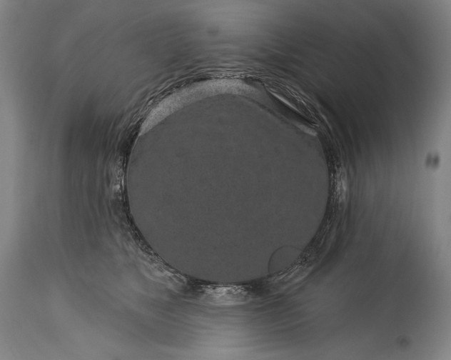 X0000115290517200911161637