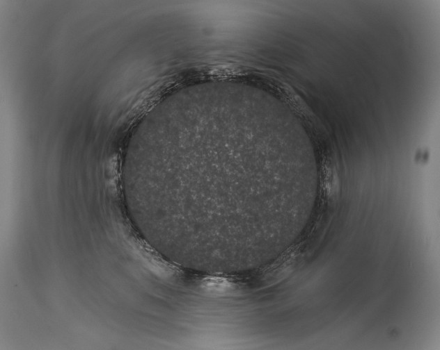 X0000115290519200911161637
