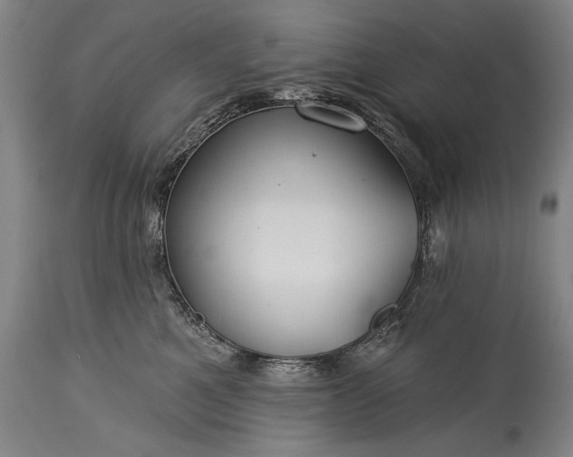 X0000115290521200911161637