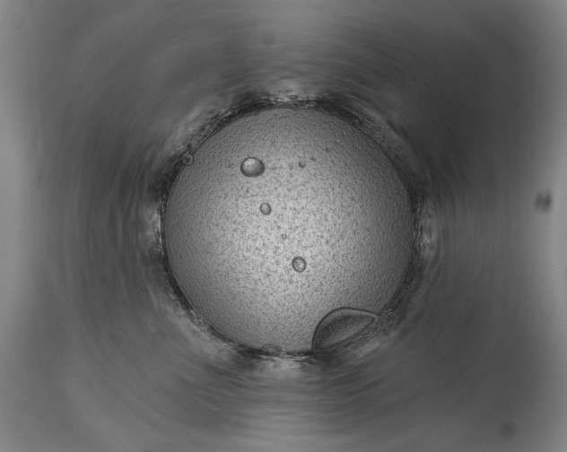 X0000115290523200911161637