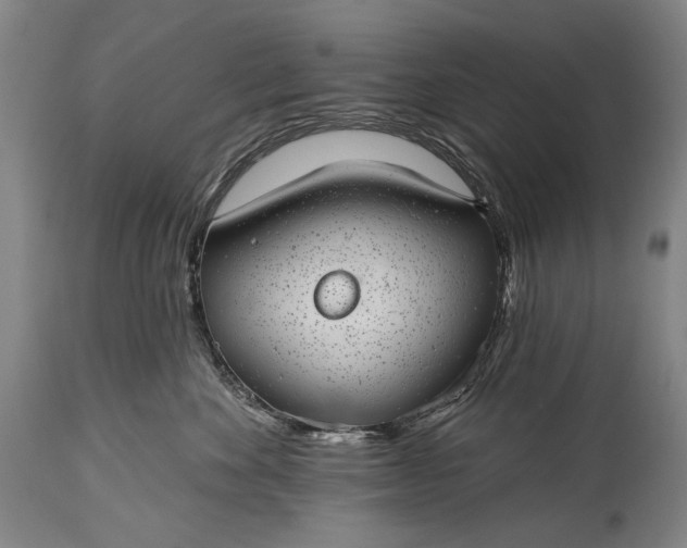 X0000115290524200911161637