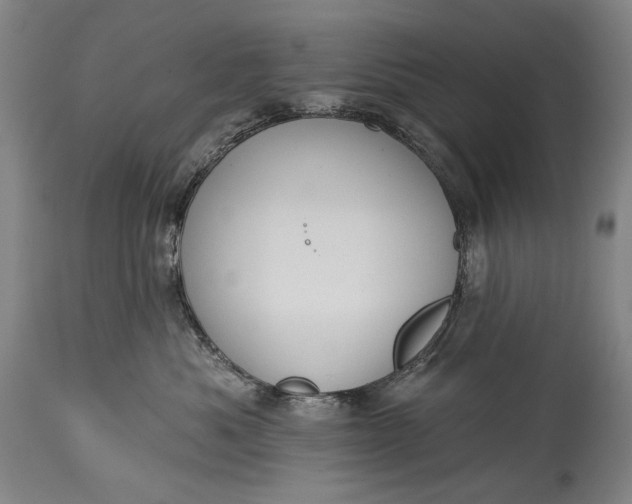 X0000115290525200911161637