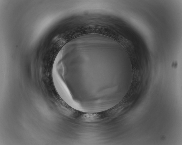 X0000115290526200911161637