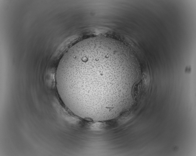 X0000115290527200911161637