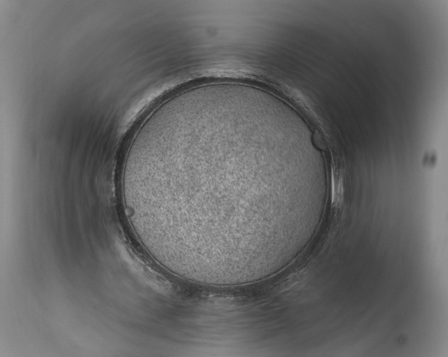 X0000115290531200911161636