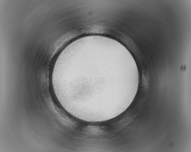 X0000115290534200911161636
