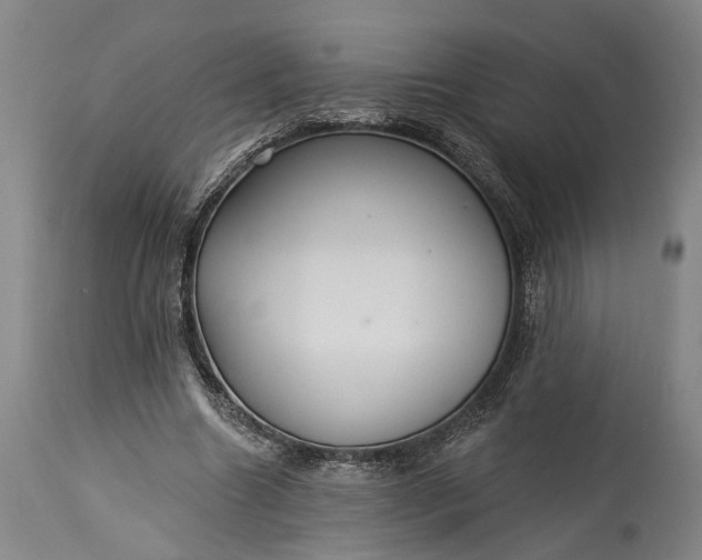X0000115290538200911161636
