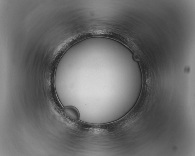X0000115290539200911161636