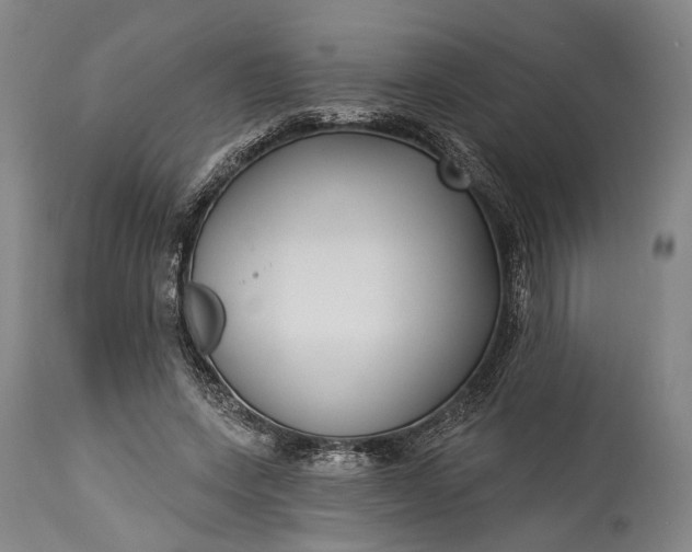 X0000115290543200911161636