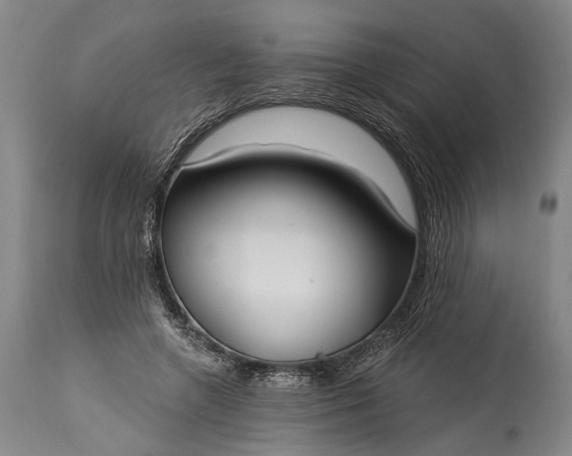 X0000115290546200911161636