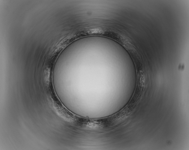 X0000115290550200911161636
