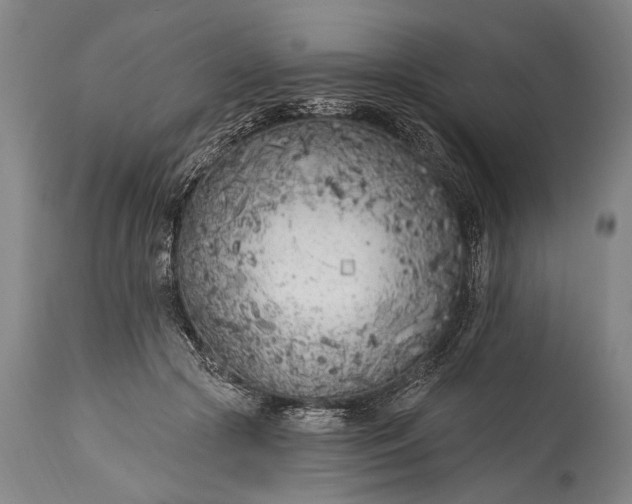 X0000115290553200911161636