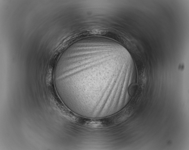 X0000115290554200911161636