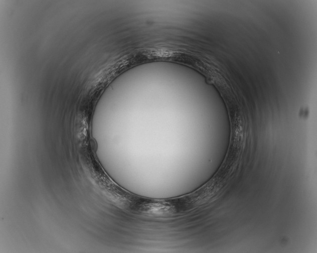 X0000115290555200911161636