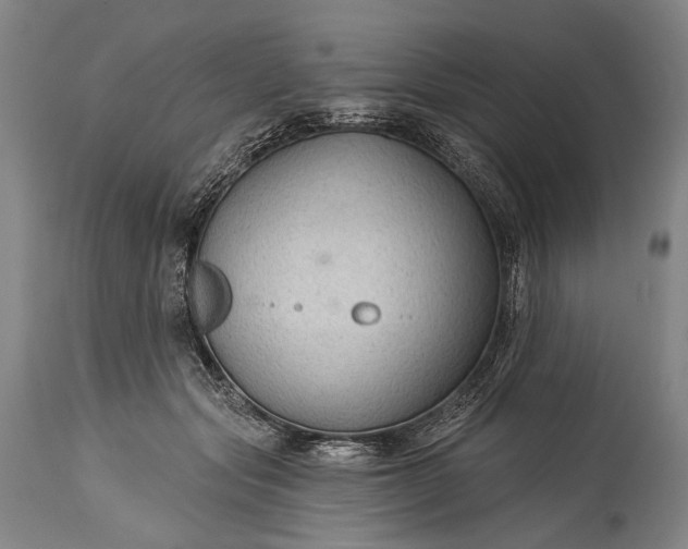 X0000115290557200911161636