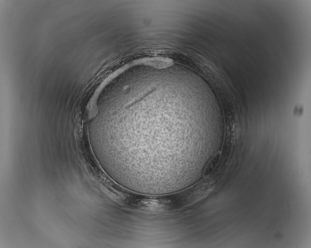X0000115290558200911161636