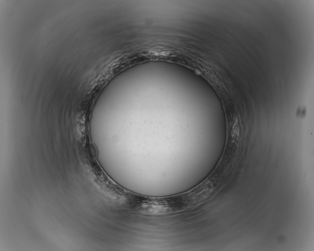 X0000115290559200911161636
