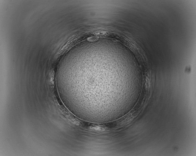 X0000115290561200911161636
