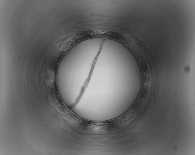 X0000115290563200911161637