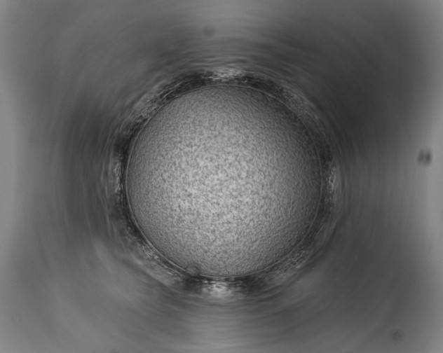 X0000115290565200911161637