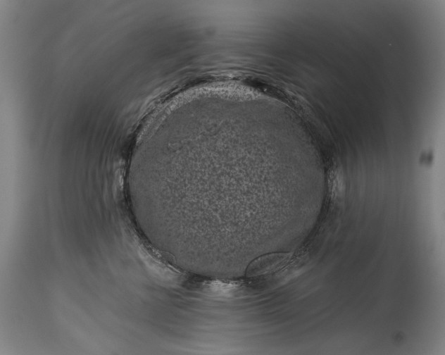 X0000115290570200911161637