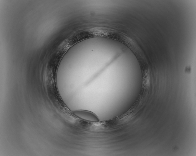 X0000115290573200911161637