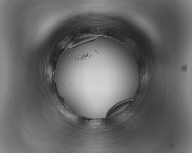 X0000115290574200911161637