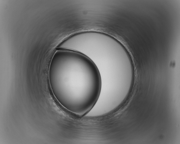 X0000115290577200911161636