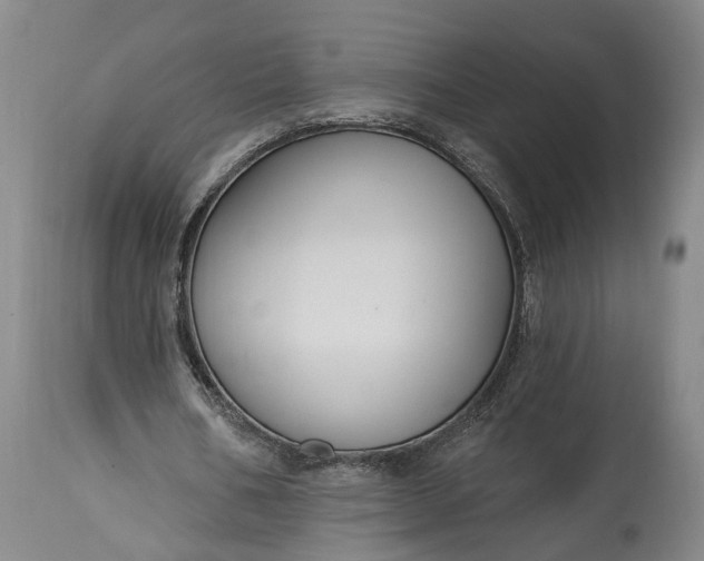 X0000115290578200911161636