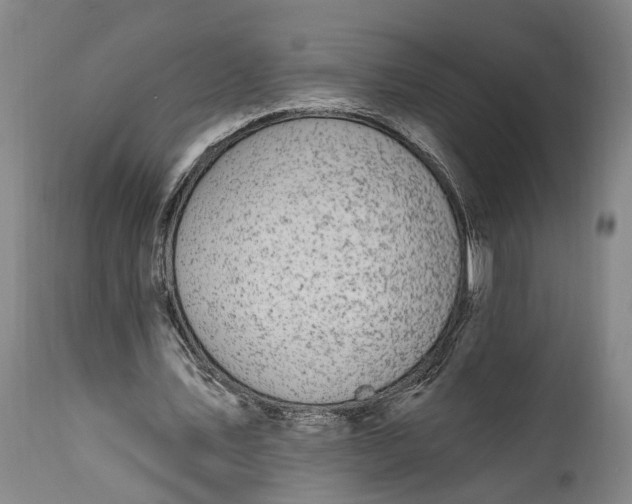 X0000115290579200911161636