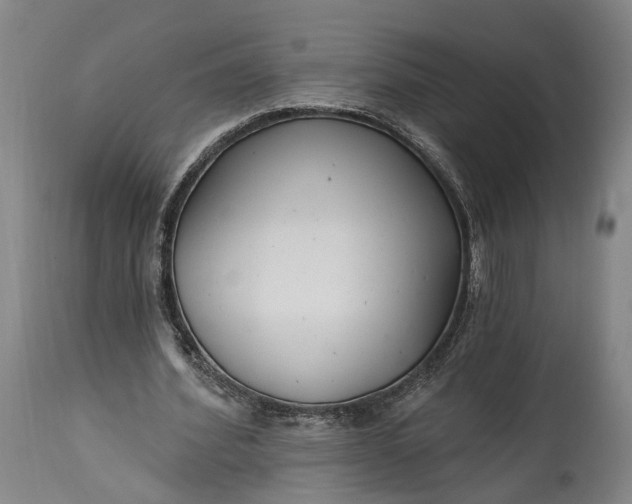 X0000115290580200911161636