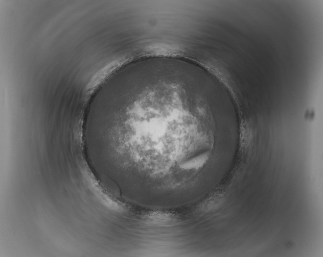 X0000115290581200911161636