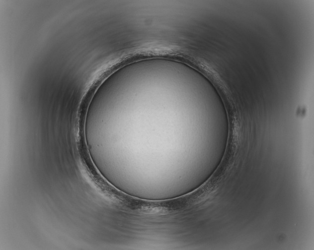 X0000115290582200911161636