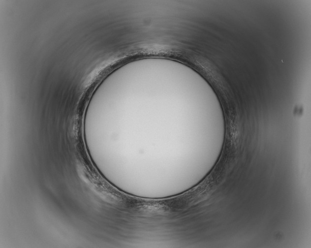 X0000115290583200911161636
