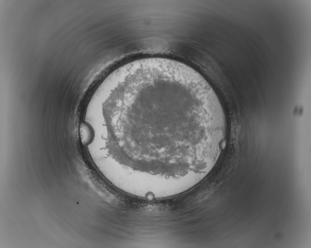 X0000115290584200911161636