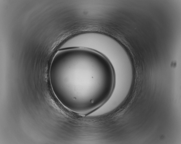 X0000115290585200911161636