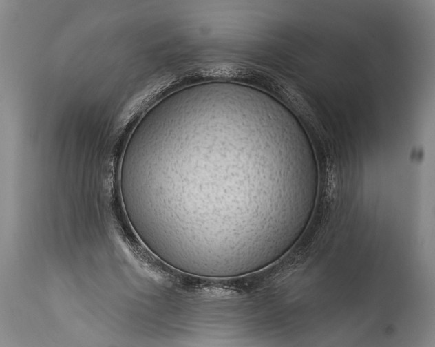 X0000115290586200911161636