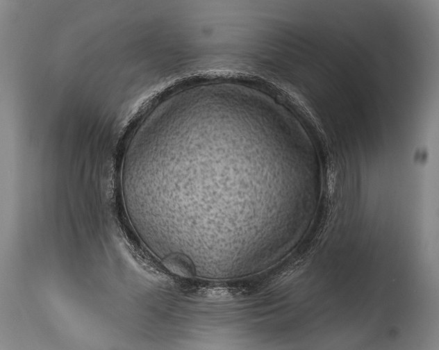 X0000115290588200911161636