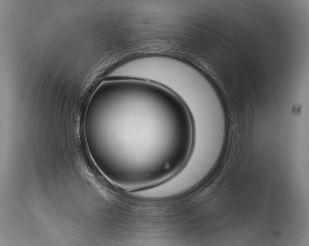 X0000115290589200911161636
