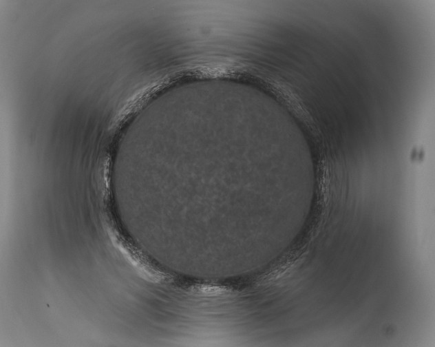 X0000115290590200911161636