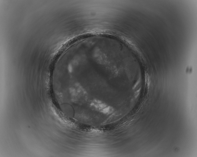 X0000115290592200911161636