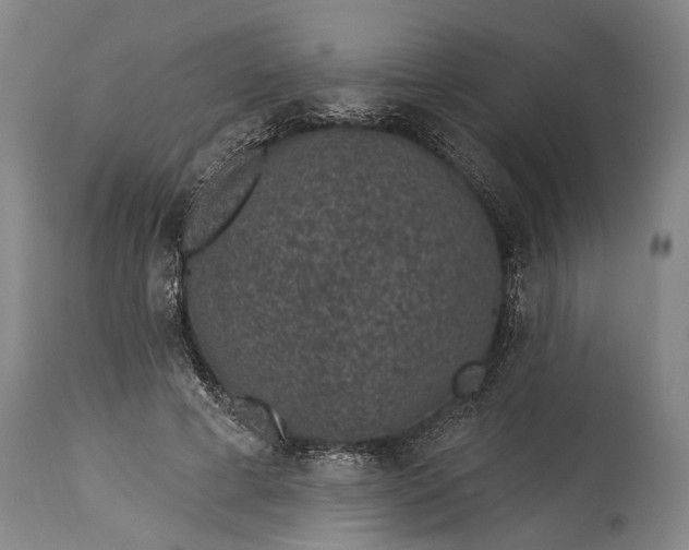 X0000115290593200911161636