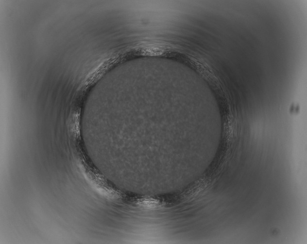 X0000115290598200911161636