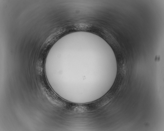 X0000115290599200911161636